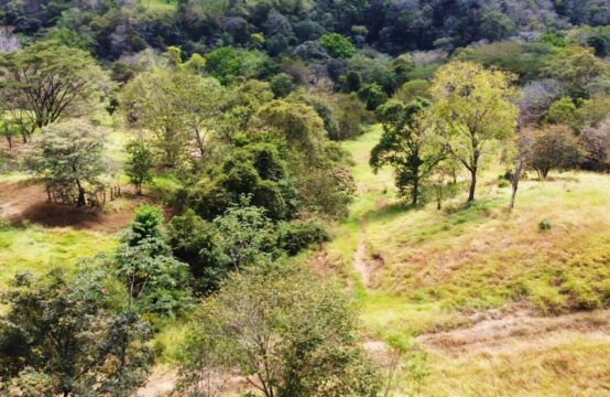 RESERVADO! Terreno de 80.000 m2 en venta ubicado en Esparza