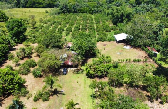 Quinta en Venta ubicada en Sarapiquí, Heredia